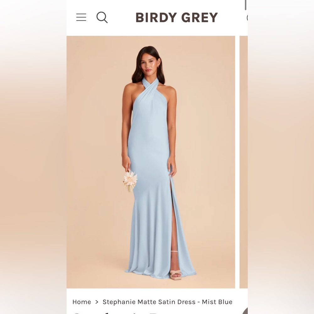 Birdy Grey Mist Blue Wedding Dress